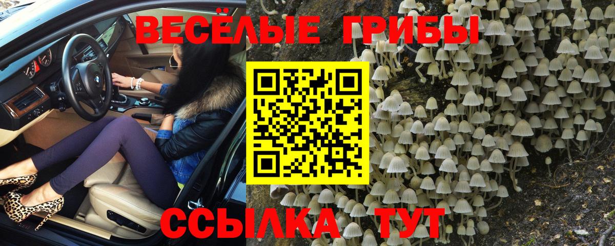 Галлюциногенные грибы прущие грибы Кимовск