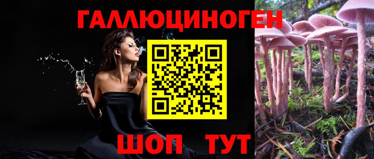 Кимовск  Галлюциногенные грибы Cubensis  Вход с VPN 